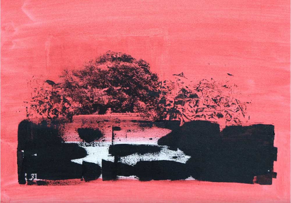 עץ בנוף אדום חגית קזיניץ