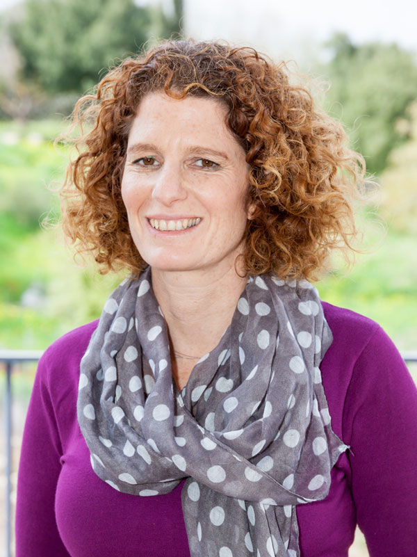 הדר-שולשטיין-אלרום