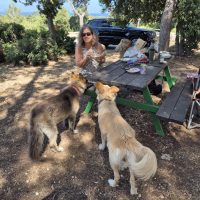 IMG-20240617-WA0002 - vardit kessel